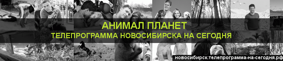 Телепрограмма на сегодня канала Анимал Планет, Новосибирск